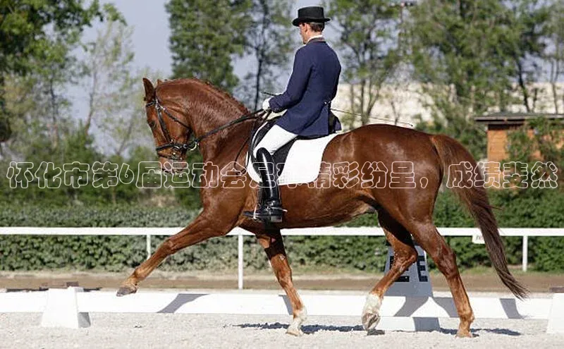 凯捷体育百度大脑