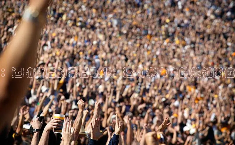 ：运动背后的幕后职业：运动赛事中的关键岗位